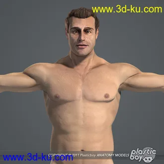 人体器官模型,男女人物解剖模型,人类肌肉骨骼神经内脏模型,maya,max,c4d的图片14