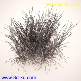 芦苇模型,max,obj,fbx格式的图片