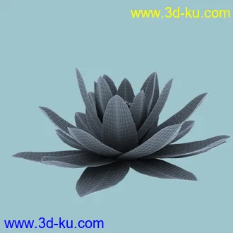睡莲模型,子午莲模型,fbx,max,obj格式的图片