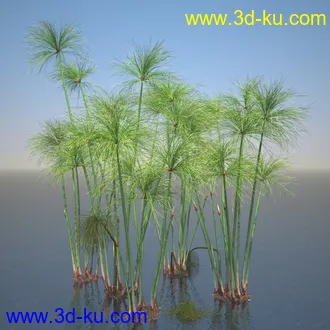 莎草模型,草模型,fbx,obj,max格式的图片