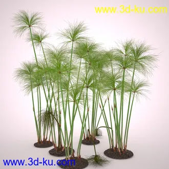 莎草模型,草模型,fbx,obj,max格式的图片