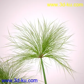 莎草模型,草模型,fbx,obj,max格式的图片