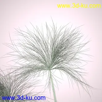 莎草模型,草模型,fbx,obj,max格式的图片