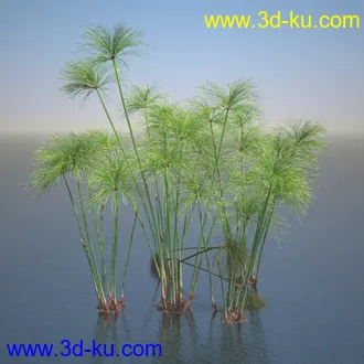 莎草模型,草模型,fbx,obj,max格式的图片