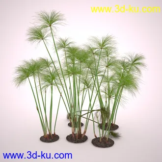 莎草模型,草模型,fbx,obj,max格式的图片