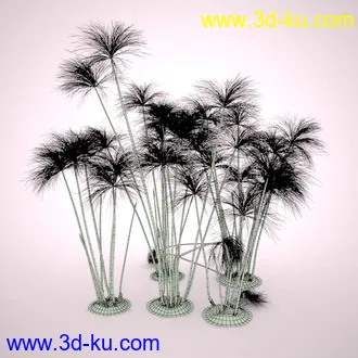 莎草模型,草模型,fbx,obj,max格式的图片
