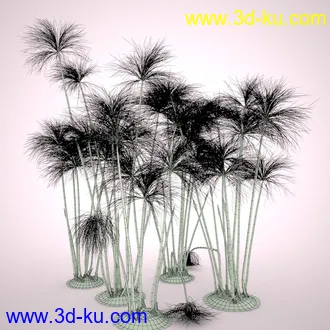 莎草模型,草模型,fbx,obj,max格式的图片