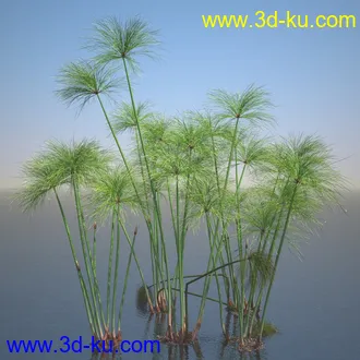 莎草模型,草模型,fbx,obj,max格式的图片
