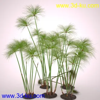 莎草模型,草模型,fbx,obj,max格式的图片