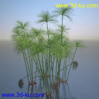 莎草模型,草模型,fbx,obj,max格式的图片