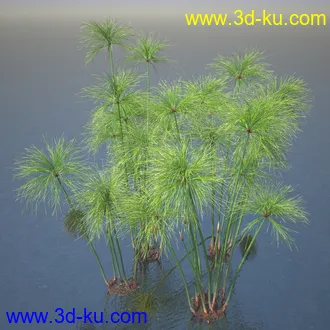 莎草模型,草模型,fbx,obj,max格式的图片