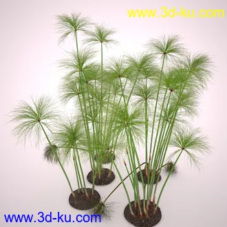 莎草模型,草模型,fbx,obj,max格式的图片