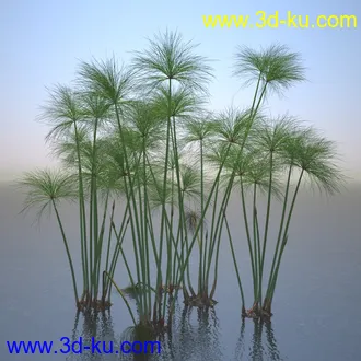 莎草模型,草模型,fbx,obj,max格式的图片