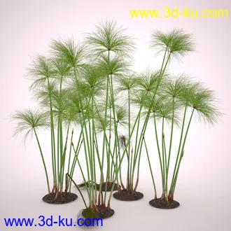 莎草模型,草模型,fbx,obj,max格式的图片