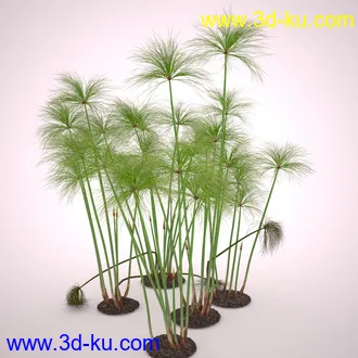 莎草模型,草模型,fbx,obj,max格式的图片