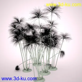 莎草模型,草模型,fbx,obj,max格式的图片