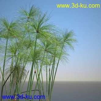 莎草模型,草模型,fbx,obj,max格式的图片
