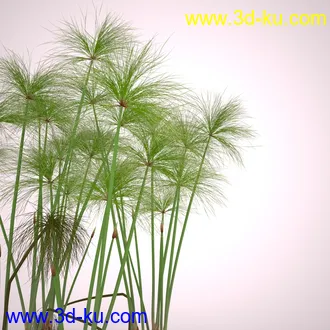 莎草模型,草模型,fbx,obj,max格式的图片