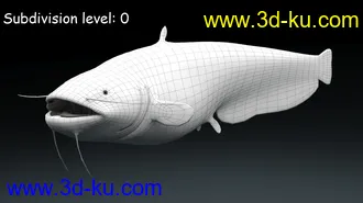 鲶鱼模型,塘鲺模型,带绑定,3dmax格式的图片