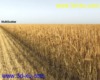 麦田模型,小麦模型的图片