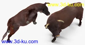 公牛模型,带毛的公牛模型,有绑定,max格式的图片
