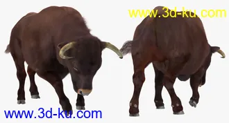 公牛模型,带毛的公牛模型,有绑定,max格式的图片