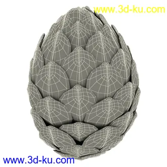 松果模型,松树果实,松塔冷杉果模型的图片