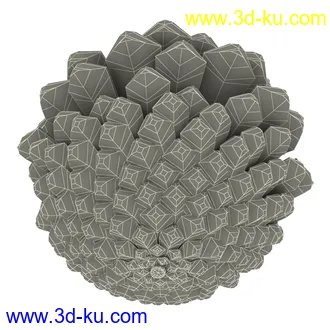 松果模型,松树果实,松塔冷杉果模型的图片