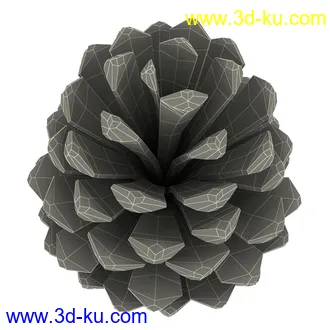 松果模型,松树果实,松塔冷杉果模型的图片