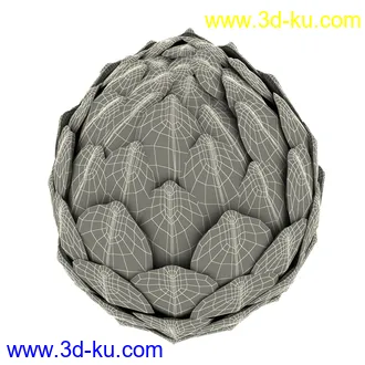 松果模型,松树果实,松塔冷杉果模型的图片