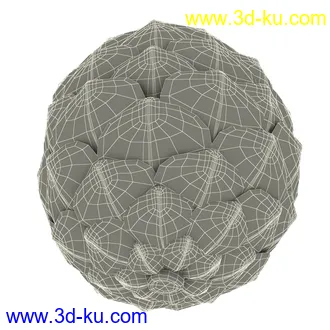 松果模型,松树果实,松塔冷杉果模型的图片