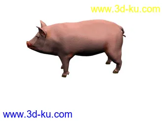 动物模型,狗,牛,兔子,鸟,马,飞龙,蜻蜓,狮子,蝴蝶,猪模型合集的图片