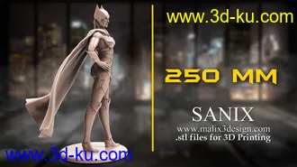 蝙蝠侠3D打印模型的图片