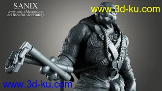 忍者神龟3D打印模型的图片