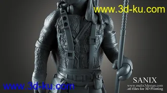 忍者神龟3D打印模型的图片
