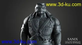 忍者神龟3D打印模型的图片