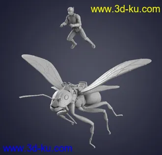 漫威角色-蚁人3D打印模型的图片