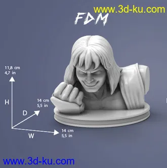 《街头霸王》肯·马斯达斯-3D打印模型的图片