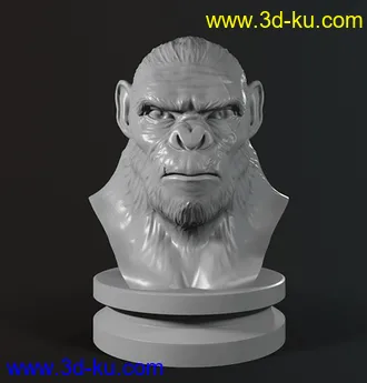《猩球崛起》角色-3D打印模型的图片