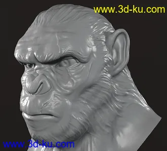 《猩球崛起》角色-3D打印模型的图片