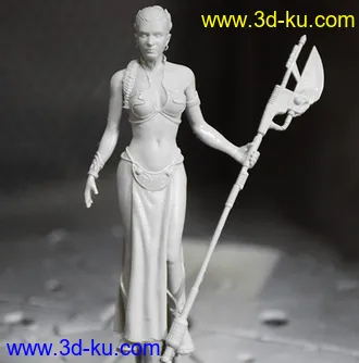 《星球大战V:帝国反击战》莱娅公主-3D打印模型的图片