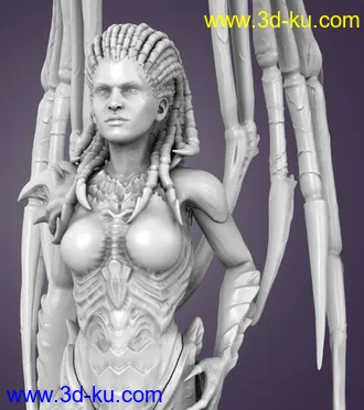 刀锋女王-3D打印模型的图片