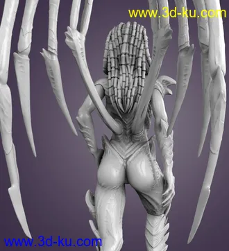 刀锋女王-3D打印模型的图片