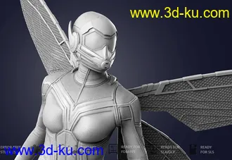 蚁人2:黄蜂女-3D打印模型的图片