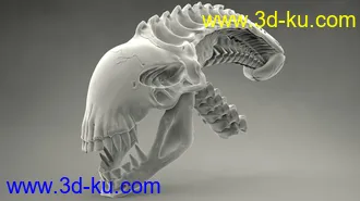 异形头骨-3D打印模型的图片