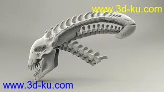 异形头骨-3D打印模型的图片