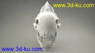异形头骨-3D打印模型的图片