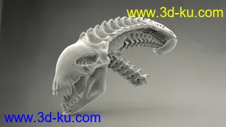 异形头骨-3D打印模型的图片