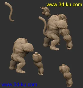 七龙珠-孙悟空-满月状态,大猩猩-3D打印模型的图片13