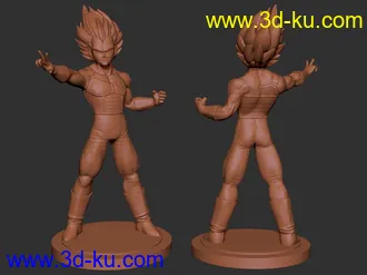 贝吉塔-3D打印模型的图片